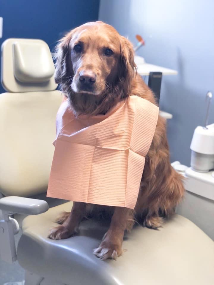 Riley Dental Group Glasgow, KY